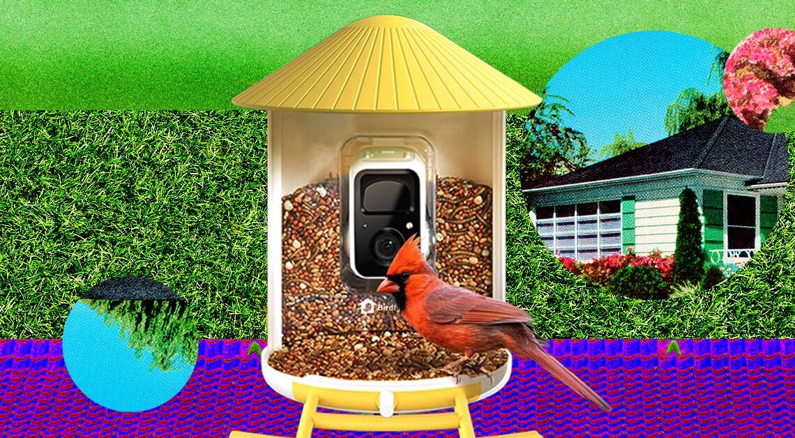 The Smart Bird Feeders Everyone’s Talking About (and Actually Buying) (2026)