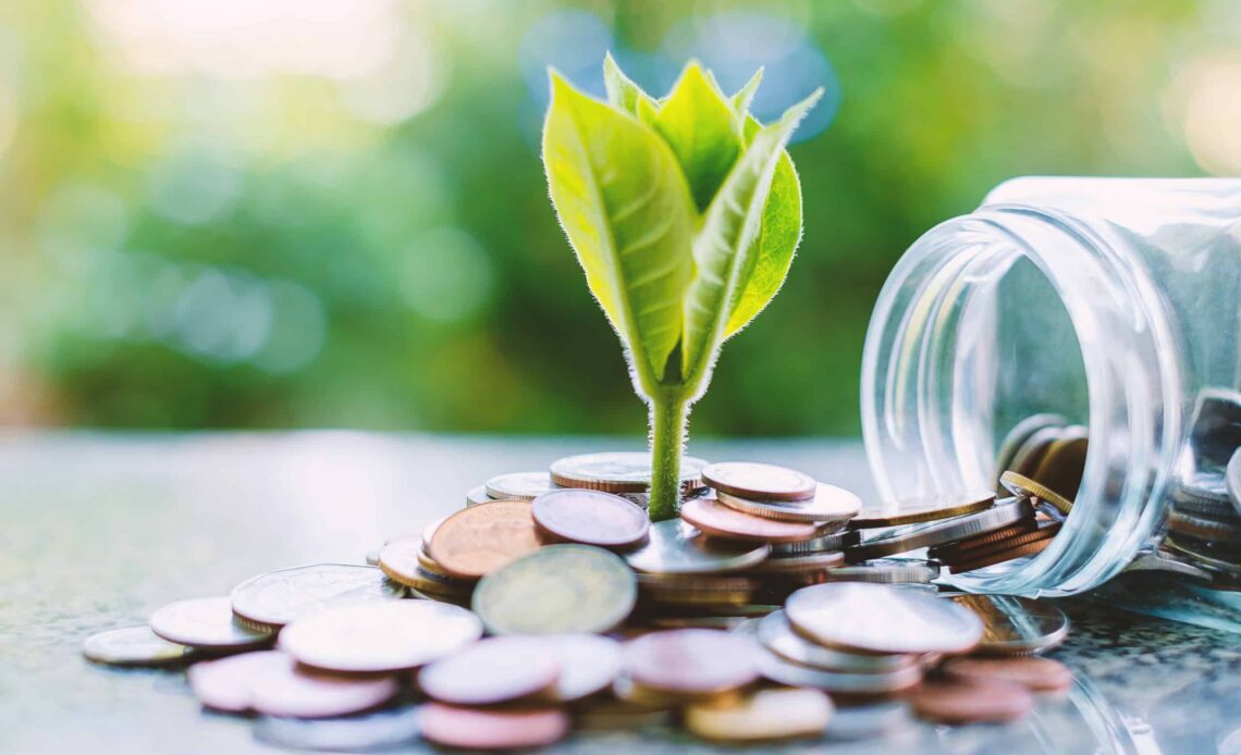 A plant grows from coins.