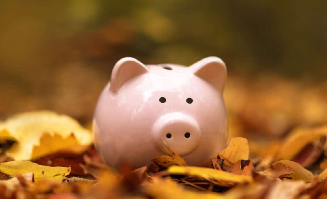 Piggy bank in autumn leaves